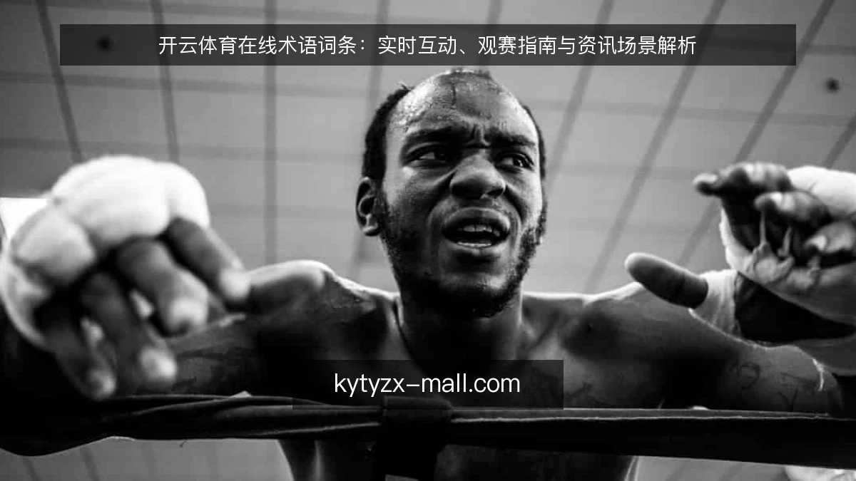开云体育在线术语词条：实时互动、观赛指南与资讯场景解析