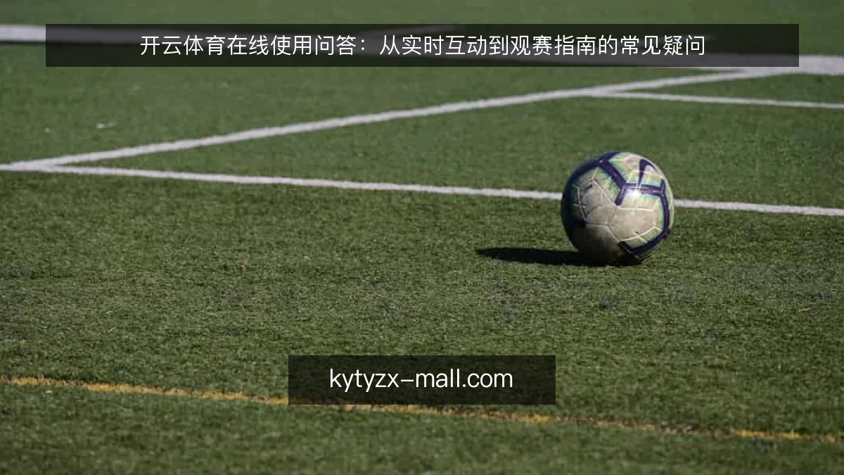 开云体育在线使用问答：从实时互动到观赛指南的常见疑问