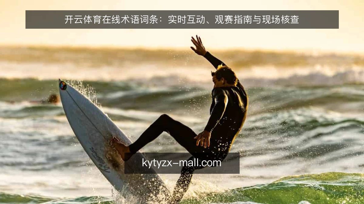 开云体育在线术语词条:实时互动、观赛指南与现场核查