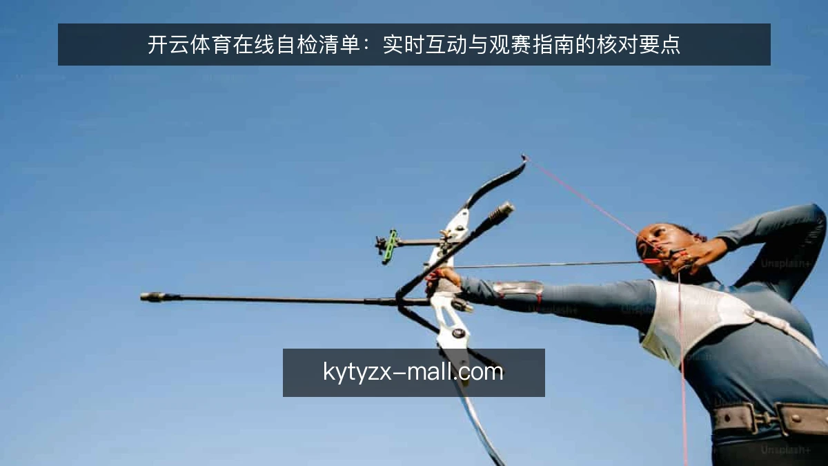 开云体育在线自检清单：实时互动与观赛指南的核对要点