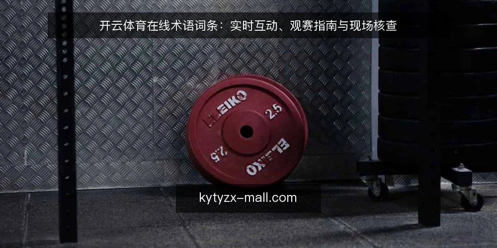 开云体育在线术语词条：实时互动、观赛指南与现场核查 — 开云体育在线：术语定义与使用场景 配图