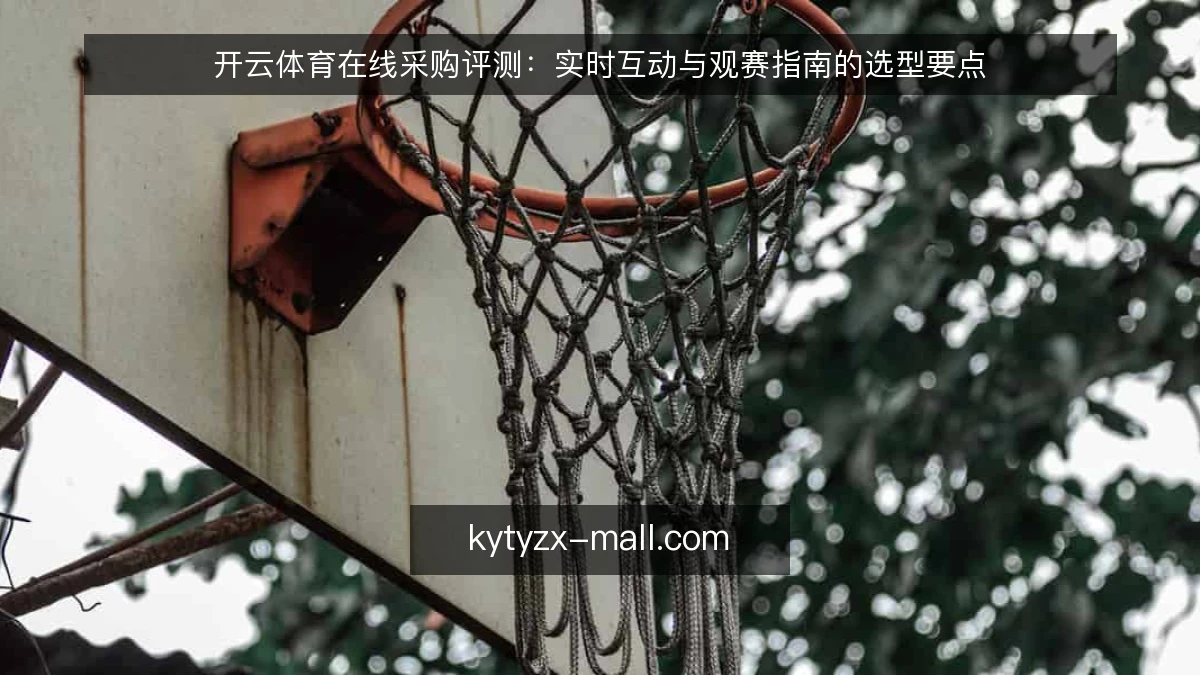 开云体育在线采购评测：实时互动与观赛指南的选型要点