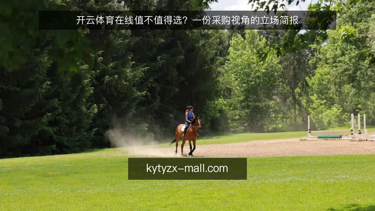 开云体育在线值不值得选？一份采购视角的立场简报